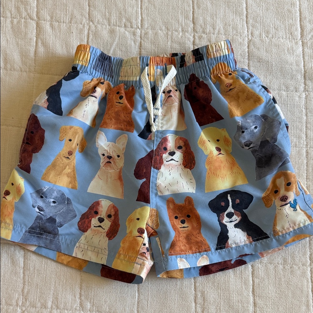 Blue Rooster Boys Swim Trunk size 4Y